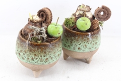 Arr4 Amaryllis Mb - Luxe Bolpotje Op Pootjes X6 13P 25cm