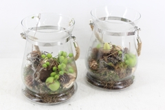 Arr4 Amaryllis Mb - Glas Windlicht 999/6 16P 26cm