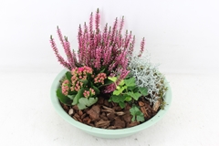 Arr4 Outdoor Pl - Zink Schaal Groen L 29P 30cm