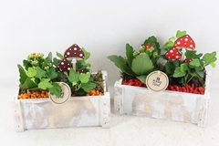 Arr2 Pl - Hout Kist Rechth. X4 - Rood/oranje 21P 25cm