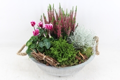 Arr4 Outdoor Js - Zink Schaal Oor Los 35P 37cm 12bloei