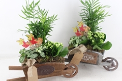 Arr2 Td - Hout Kruiwagen - Wit 35P 49cm