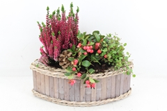 Arr4 Outdoor Pl - Hout Kano 338/4 33P 38cm