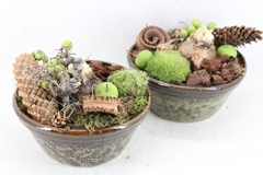 Arr4 Amaryllis Mb - Ker. Schaal Rand Luxe 285/5 Green 20P 22cm