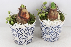 Arr4 Amaryllis Pl - Ker. Pot Delft Blauw X3 16P 28cm