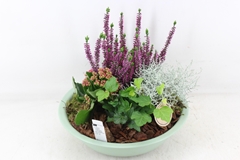 Arr4 Outdoor Pl - Zink Schaal Groen L 29P 30cm