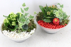 Arr2 Pl - Glas Ribbel Schaal - Rood/wit 19P 23cm