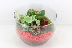 Arr2 Pl - Glas Henrik - Rood 22P 22cm