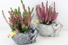 Arr4 Outdoor Js - Cement Engel Mix 20P 35cm