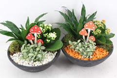 Arr2 Pl - Ebbischaal M - Oranje/wit 23P 30cm