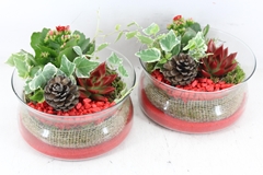 Arr2 Pl - Glas Schaal Tulp - Rood 20P 20cm