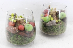 Arr4 Amaryllis Mb - Glas Op Stomp Kl.x6 14P 21cm