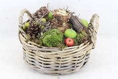 Arr4 Amaryllis Mb - Kubumand Rond Los 25P 25cm