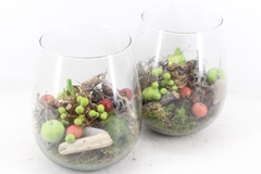 Arr4 Amaryllis Mb - Glas Roma 285/5 Mix 20P 29cm