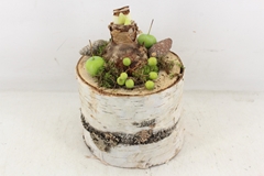 Arr4 Amaryllis Mb - Berkpot 285/5 18P 30cm