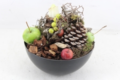 Arr4 Amaryllis Mb - Kunstst. Coupe 285/5 21P 28cm