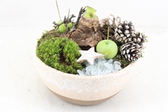 Arr4 Amaryllis Mb - Ker. Bowl White 285/5 21P 24cm