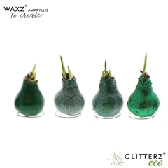 Arr4 Amaryllis Vh - Waxz Create Dark Green