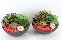 Arr2 Pl - Ebbischaal M - Rood 23P 28cm