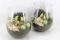 Arr4 Hyacint Pl - Glas Pot Patna X2 19P 29cm