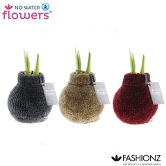 Arr4 Amaryllis Vh - Fashionz Cozy Teddy
