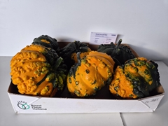 Sierfruit Stuk
