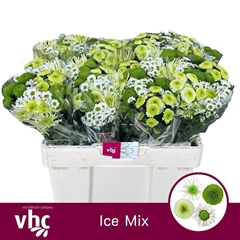 Chr San Gemengd 55L.cm 100gram 23bloei