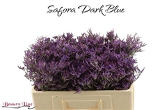 Lim Saf Dark Blue 50L.cm 16gram 13bloei