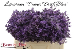 Lim Piuma Dark Blue 50L.cm 18gram 13bloei