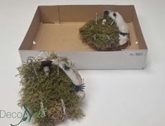 Arr Tuinplanten 16P 15cm 23bloei