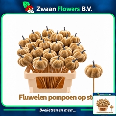 Overig Dec Mat 21% Pompoen Brons