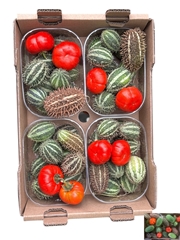 Sierfruit Bak