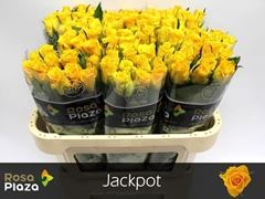 R Kl Jackpot 70L.cm