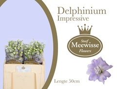 Delph El Dew Impress 50L.cm 24bloei
