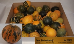 Sierfruit Pepo Gemengd