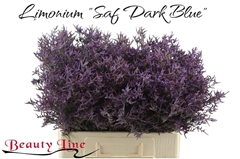 Lim Saf Dark Blue 60L.cm 18gram 13bloei