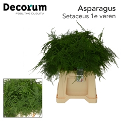 Asp Setac Overige 45L.cm