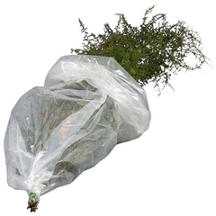 Dec. Groen Overig 130L.cm Asparagus