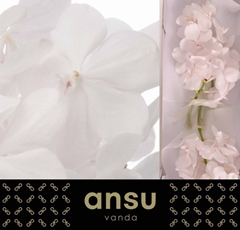 Vanda Tayan Diam Whi 20L.cm