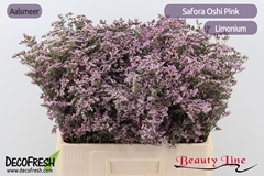 Lim Saf Oshi Pink 60L.cm 18gram 13bloei