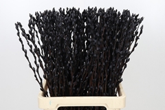 Salix Kleurbeh 21% 70L.cm