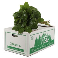 Salal Tips Per Bos 40L.cm