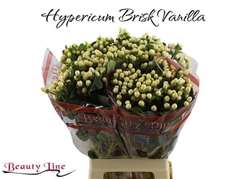 Hyp I Brisk Vanilla 70L.cm