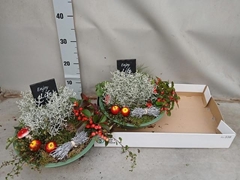 Arr Tuinplanten 32P 25cm