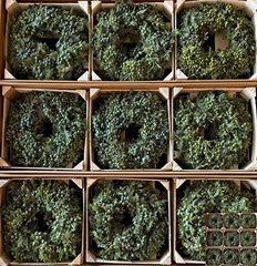 Sierfruit Krans