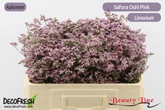 Lim Saf Oshi Pink 50L.cm 20gram 13bloei